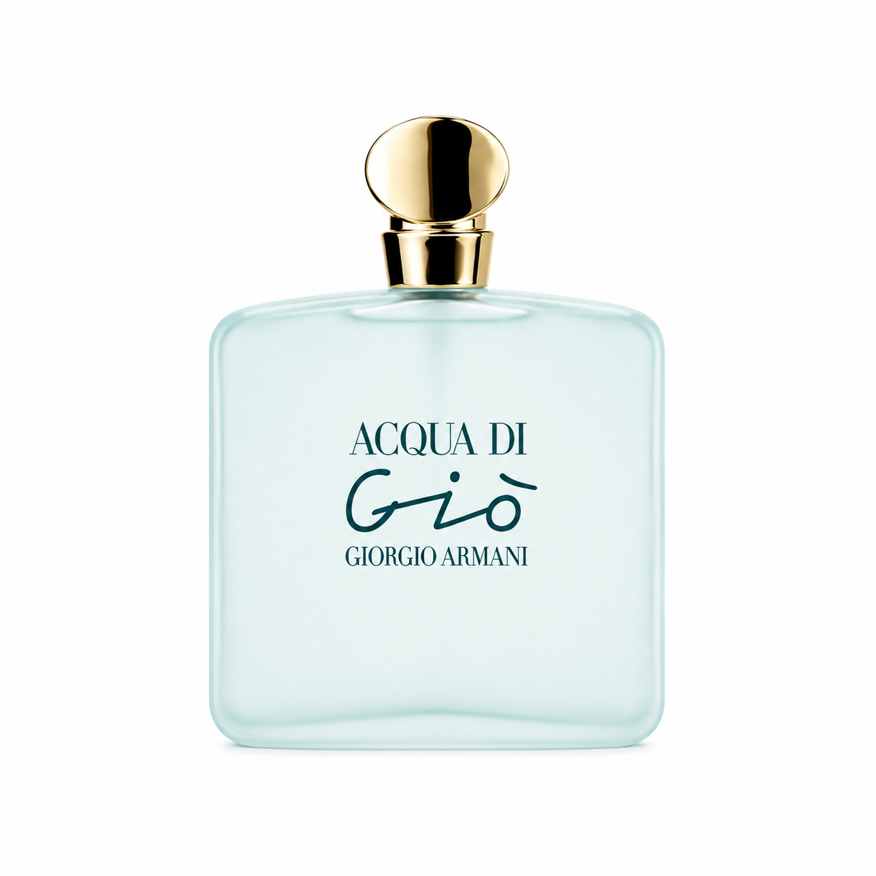 Ladies Armani Acqua Di Gio 100ml EDT spray for women, showing the perfume bottle with Armani branding