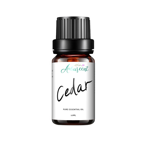 A 10ml bottle of Aurascent Cedar Essential Oil with a natural wood and greenery background, showcasing the product.