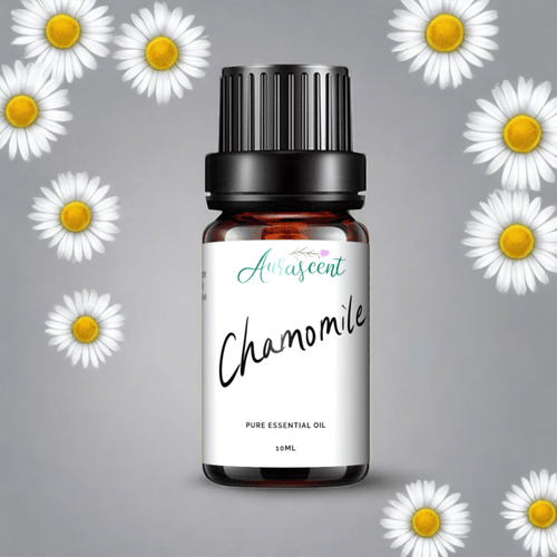 Aurascent Chamomile Essential Oil 10ml bottle with label, amber glass container with dropper for aromatherapy and natural healing.