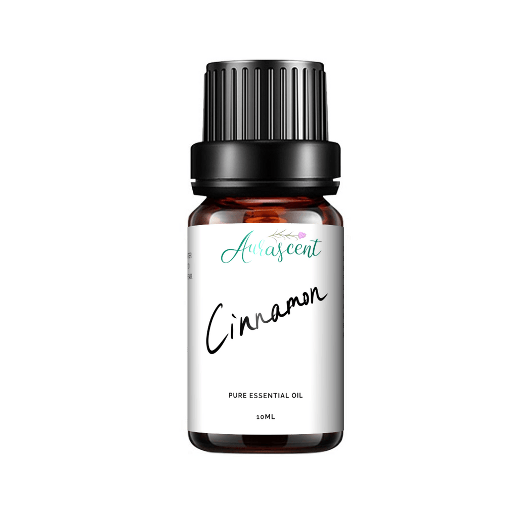 Aurascent cinnamon essential oil in a 10ml glass bottle with a white label and dropper cap, on a neutral background.