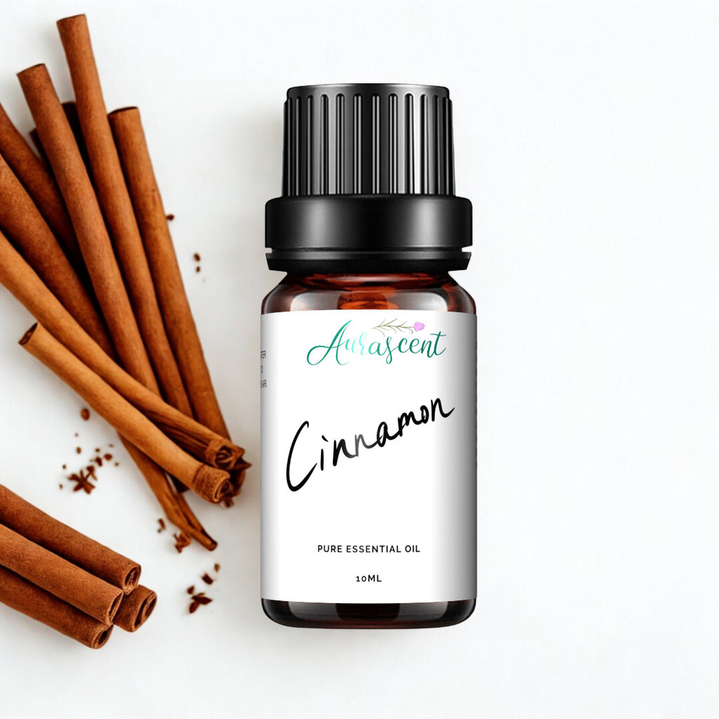 Aurascent Cinnamon Essential Oil 10ml bottle with dropper, aromatic herbal scent, in a clear glass container on a white background.