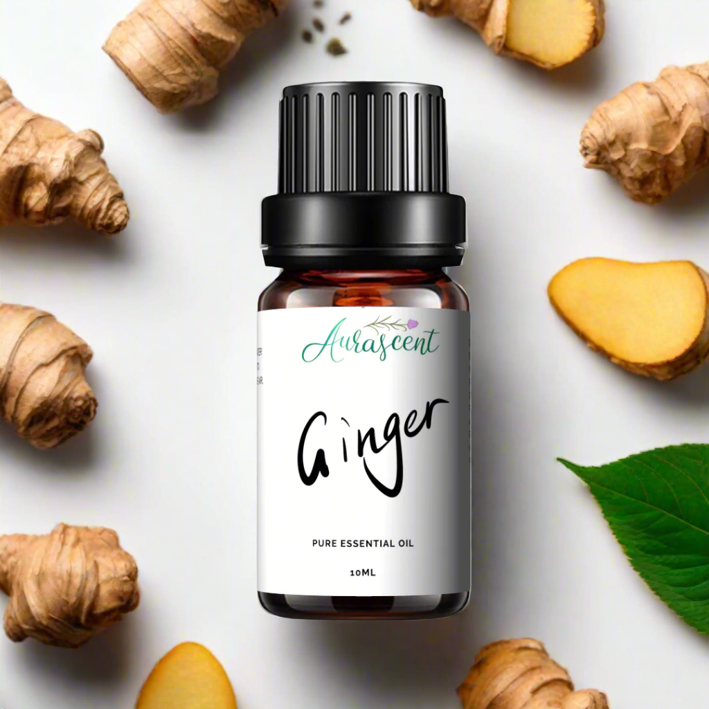 A 10ml bottle of Aurascent Ginger Essential Oil, showing the product label and clear glass bottle with a dropper cap.