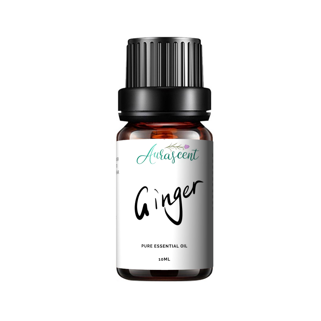 Aurascent Ginger Essential Oil 10ml bottle with label, showcasing the natural amber-colored glass bottle on a white background.