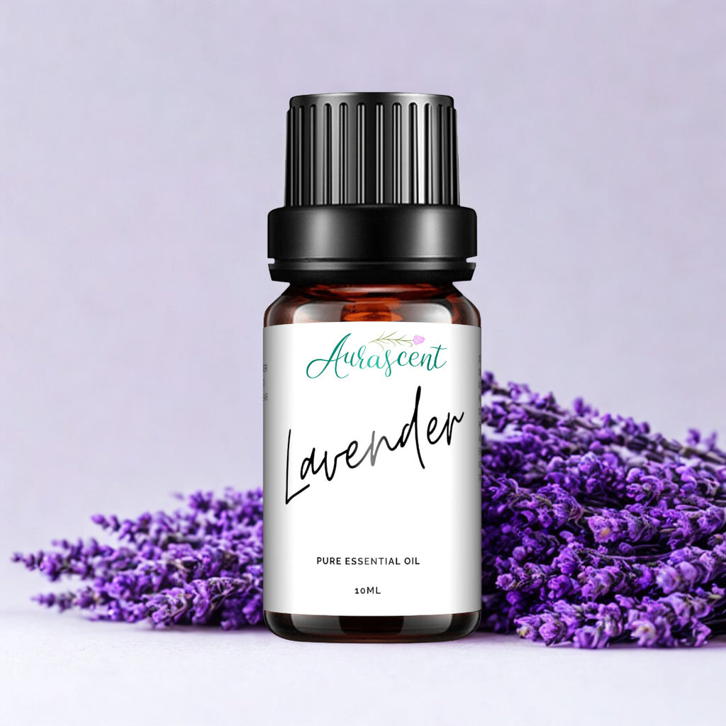 Aurascent Lavender Essential Oil 10ml bottle with a clear glass container and white label, showcasing the calming lavender scent.