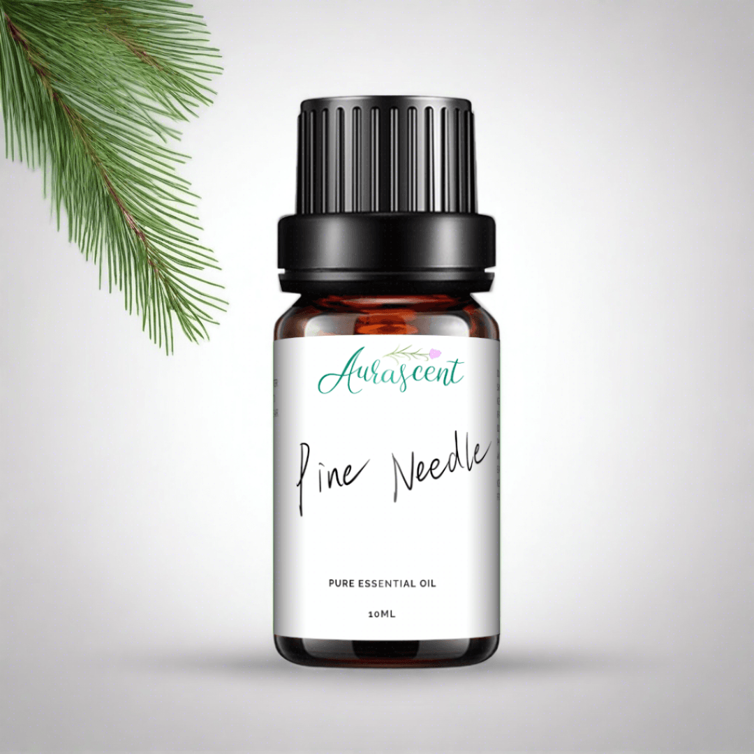 Aurascent Pine Needles Essential Oil 10ml bottle with needle sprigs and pine cones, showcasing natural pine needle extract.