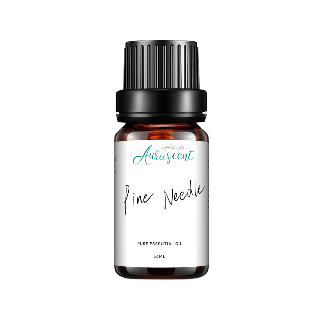 Aurascent Pine Needles Essential Oil 10ml bottle with pine needles and natural wooden background.