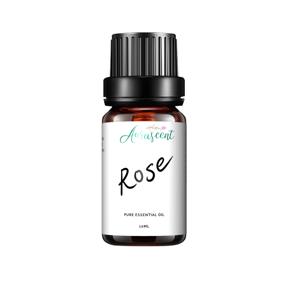 Aurascent Rose Essential Oil 10ml bottle with a clear glass container and white label, showcasing the floral oil inside.