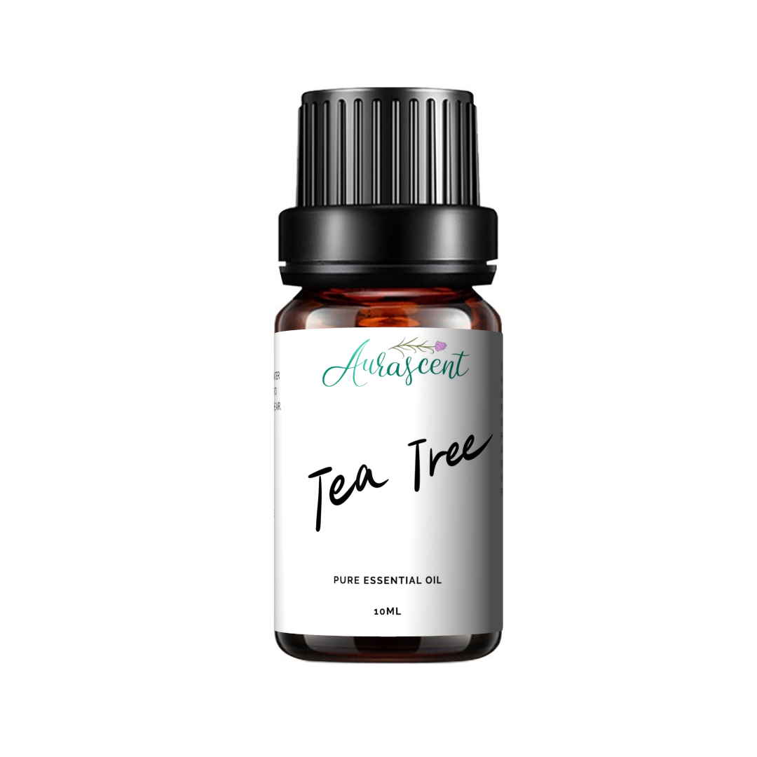 Aurascent Tea Tree Essential Oil in a 10ml bottle, showing the amber glass and label with product details.