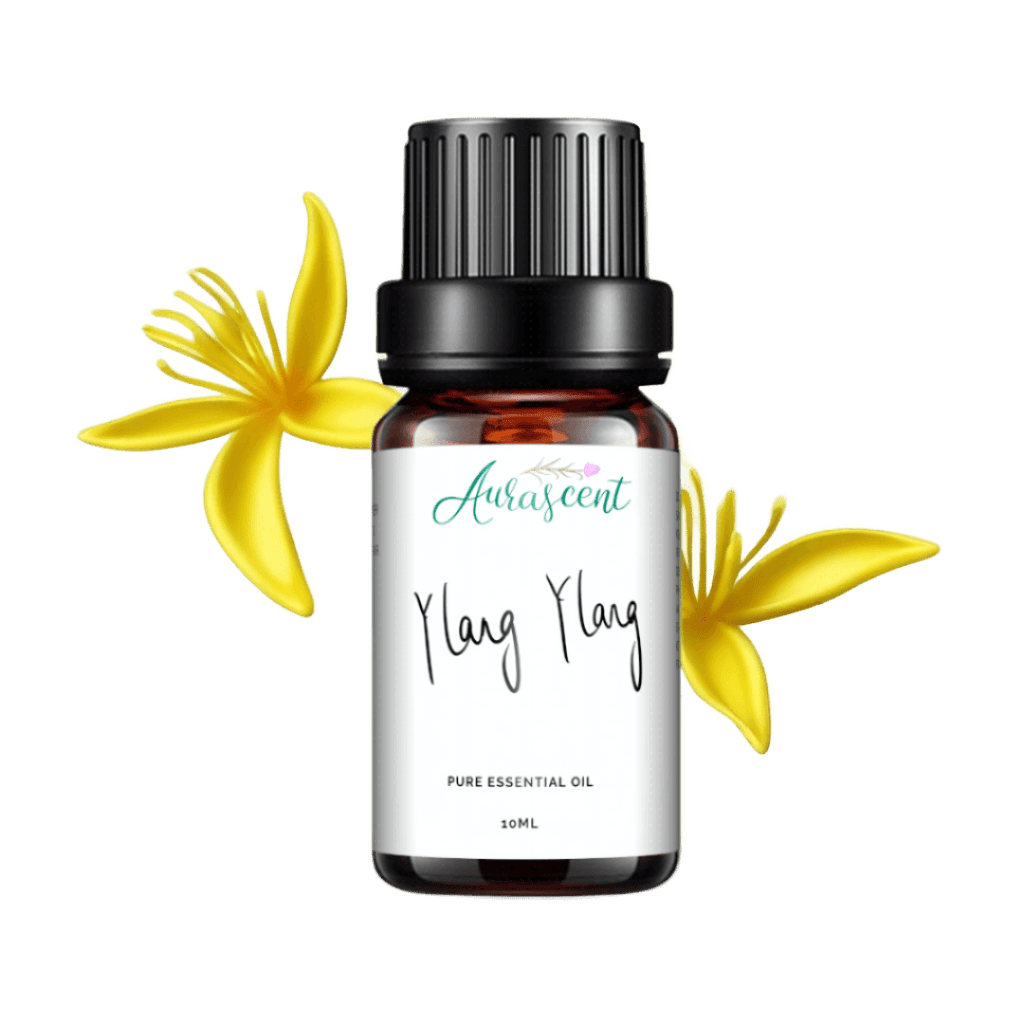 Aurascent Ylang Ylang Essential Oil in 10ml bottle, showcasing the amber glass container with a white label.