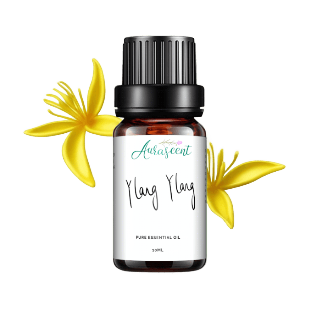 Aurascent Ylang Ylang Essential Oil in 10ml bottle, showcasing the amber glass container with a white label.