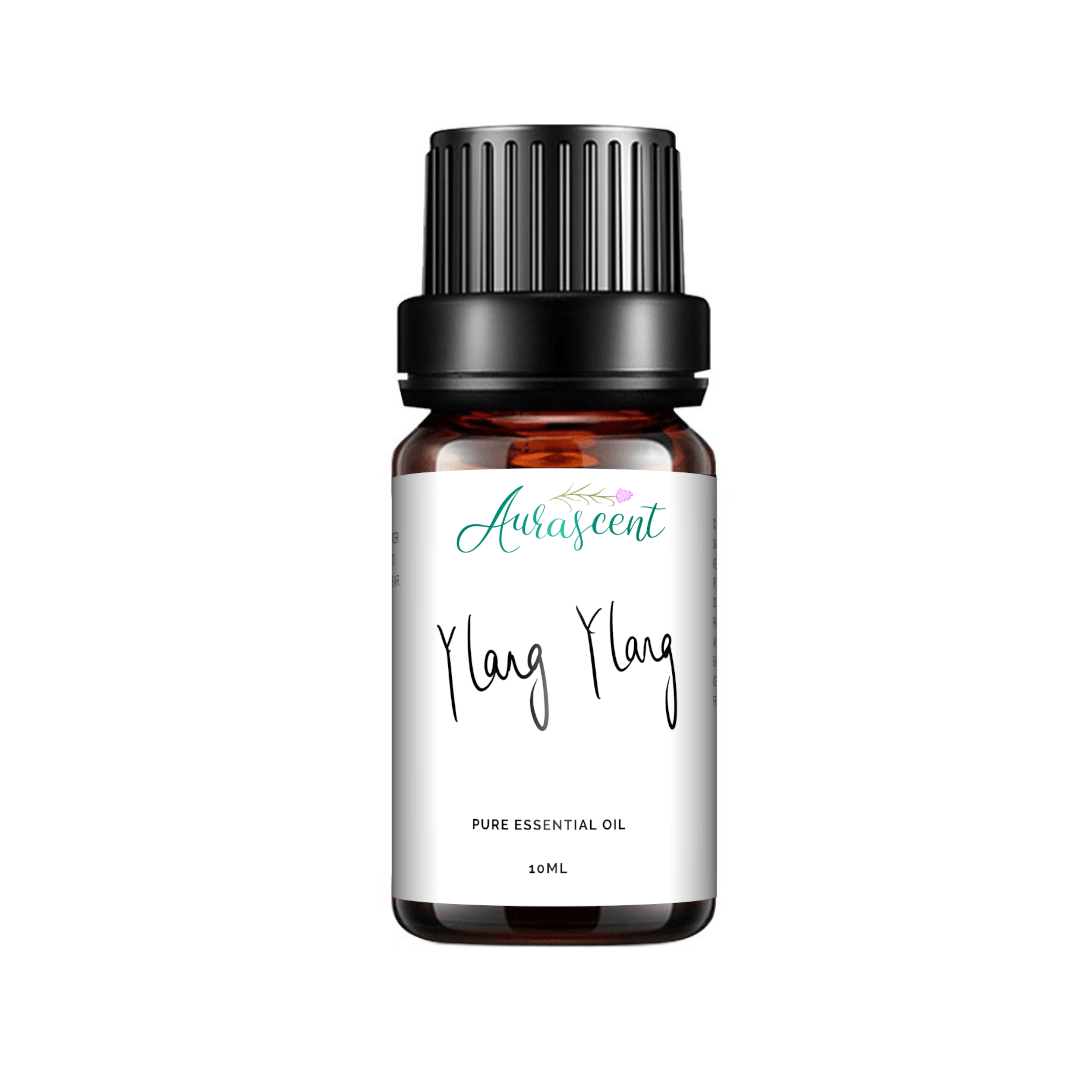 A 10ml bottle of Aurascent Ylang Ylang Essential Oil with a clear label and amber glass bottle on a neutral background.